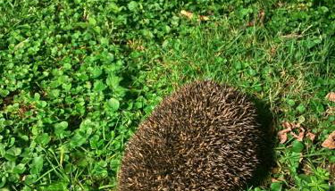 Ca d Andrea - Foto 2