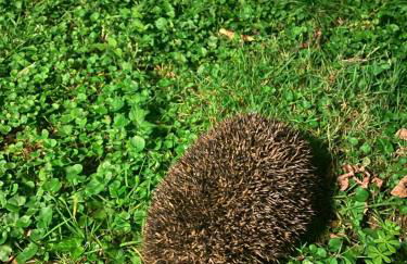 Ca d Andrea - Foto 2