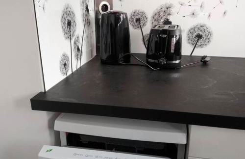 2 LYS Orleans Downtown, free secure parking - Foto 17