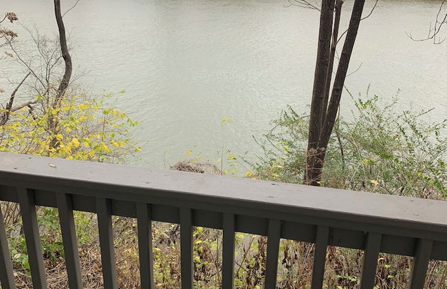 The Harrison - Foto 19