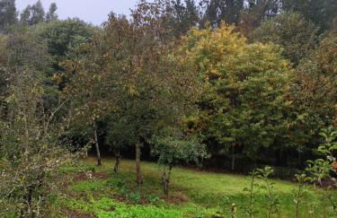 Casa Moucheiro - Foto 18