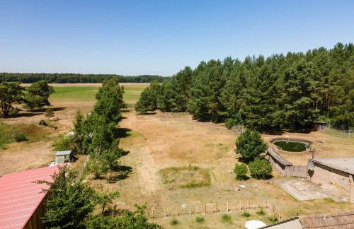 Ferienwohnung an der Müritz - Foto 48