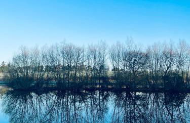 Stewards Granary - Foto 60