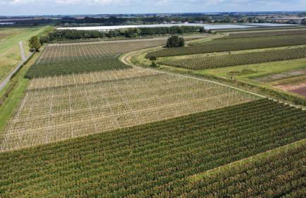 Ferienhaus-Elbdeichblick-Haselau - Foto 18