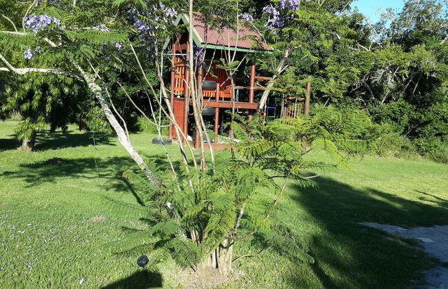 Teniqua Treetops - Foto 61