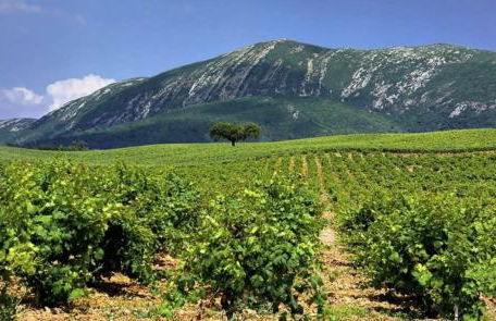 Casa com jardim perto da praia - Foto 50