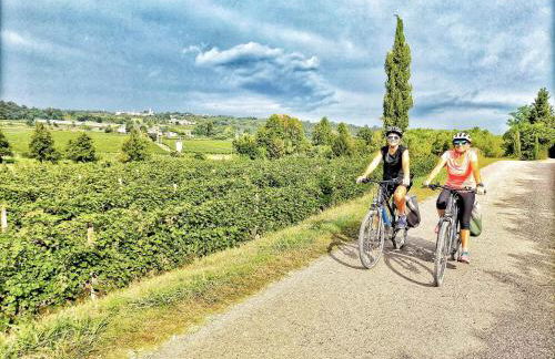 Agriturismo Nuvolino - Foto 27