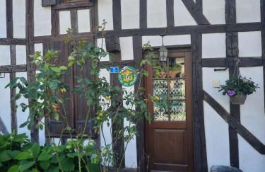 LA GRUE CENDRÉE - Les gîtes du Der - - Foto 1