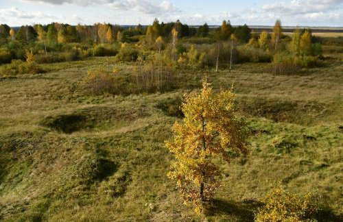 Skrzydła Biebrzy- Eco Cottage nad rzeką Narwią - Biebrza NP - Foto 36