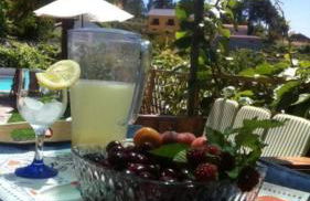 Casa do Vale - DOURO - Photo 41