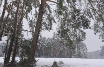 Wierzchy 34 - Photo 50