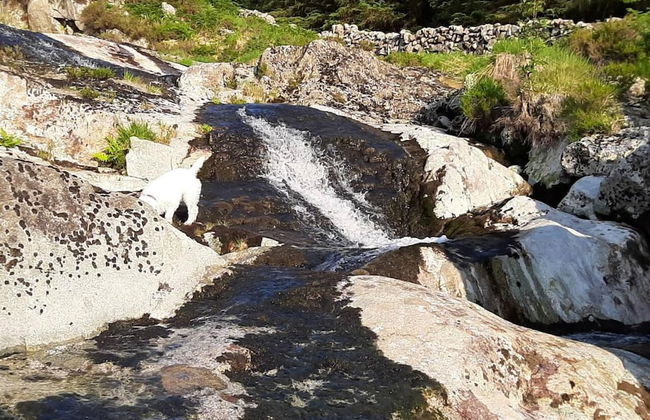 1 Bed Cabin in the Magical Galloway Forest Park - Photo 21