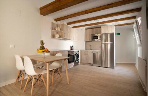 Apartamentos Terraza Ega - Foto 2