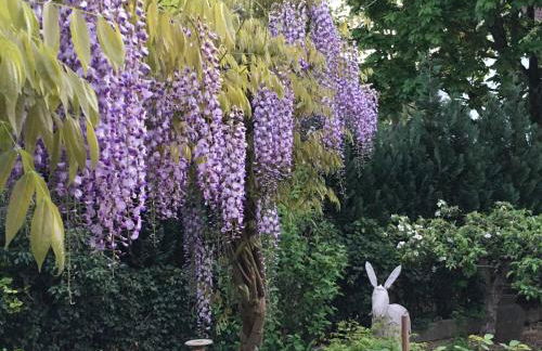 Ferien-Apartment Beller - Foto 14