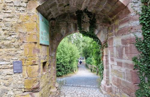 Nature lover's place - Foto 12