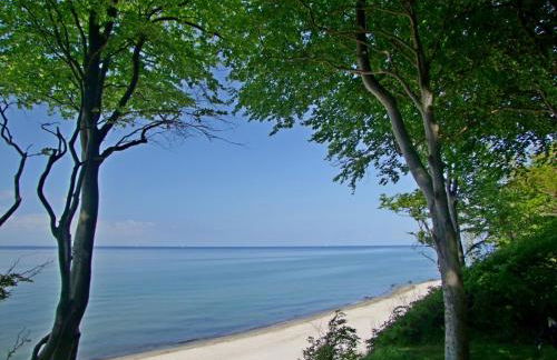 Ferienhof Elmenhorst - Foto 4