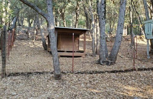 Pine Hills Cabin in Julian - Foto 45