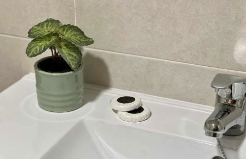 Almamater salamanca - Foto 37