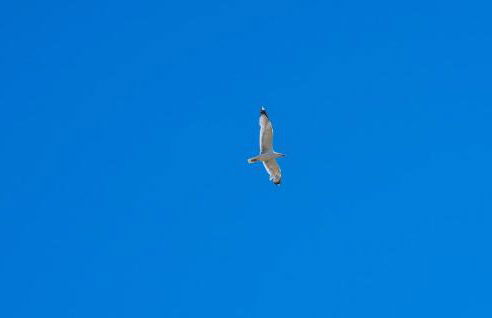 Casa Miramar - Photo 35