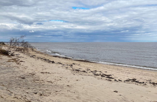 6 Person Holiday Home in Degeberga - Foto 23