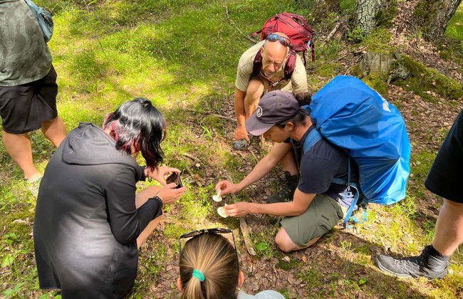 Excursão ao Parque Nacional de Sipoonkorpi + Sauna finlandesa - Foto 4