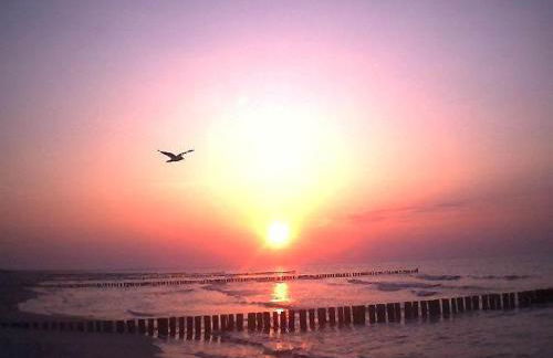 Ferienhof Jepsen - Foto 13