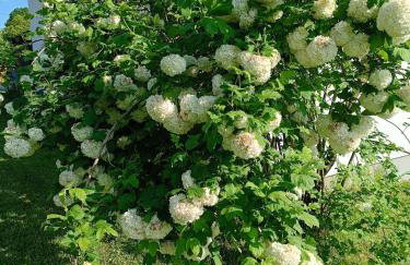 Apartman PLUM PLITVICE - Foto 43