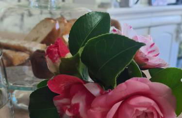 Le Citrus - Séjour cosy en plein centre historique - Foto 17