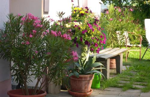 Fewo Alte Post, Apartment Rosenrot - Foto 22