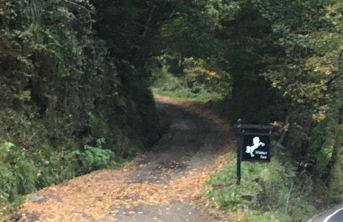 Whiteley’s Cottages studio - Foto 9