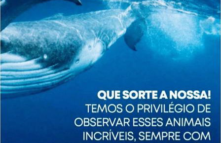 Recanto do Sossego - Foto 71