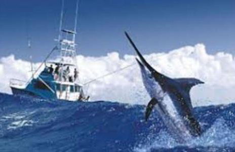 Gorgeous Beachy Chic Condo in Key Biscayne - Foto 33