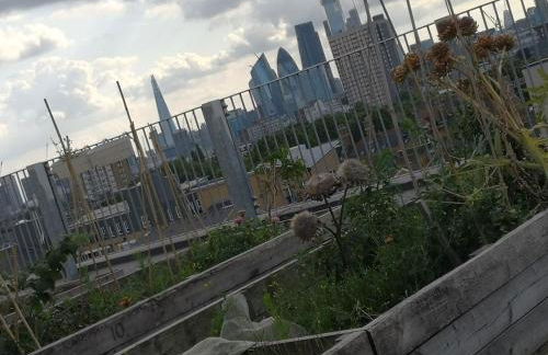 Homely Spacious 3 bedrooms duplex with roof-top next to Victoria Park & regent's canal in vibrant East End London - Foto 18