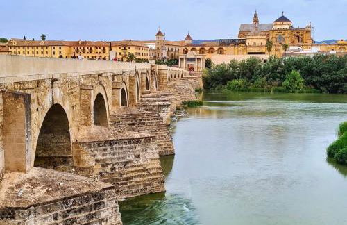 Apartamento Flor de Córdoba - Foto 25