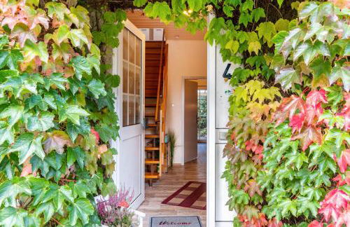 Menschen Meehr und wilder Wein - Foto 31