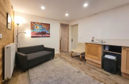 Private terrace, cosy appartement, ideal couple, bbq,relax, welcome, near La Clusaz, Grand Bornand, Annecy and lake, many sports and entertainment activities summer and winter - Foto 16