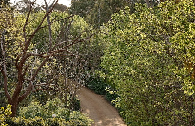 The Fender House in Mount Martha - Foto 28