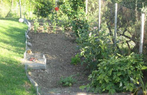 Areti Studios - Foto 69