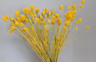 Trastevere golden luxury loft - Photo 22