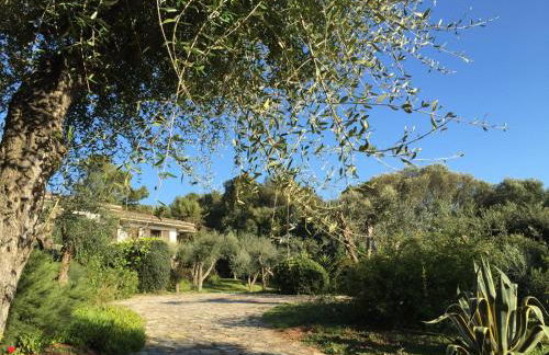 Terrazza sull Argentario - Foto 47