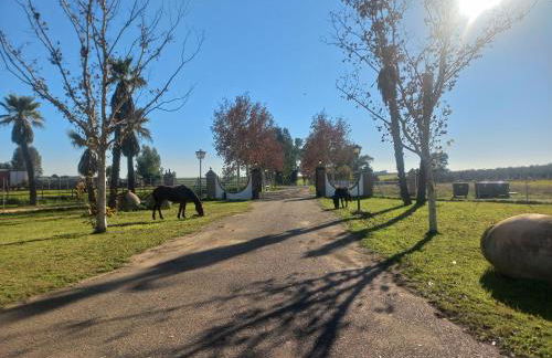 Cortijo la amazona - Foto 19