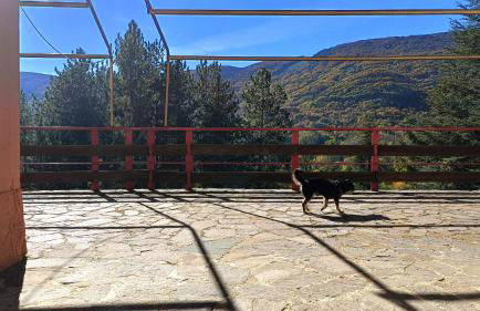 Abetina Apartment - Piccola Svizzera - Foto 27