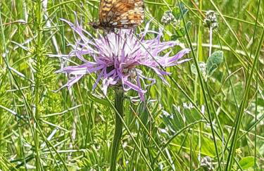 Domek nad Bugiem z Sauną - Foto 8