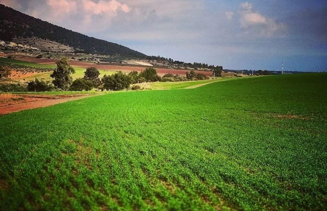 Mount Tabor Home by Sea N' Rent - Foto 53