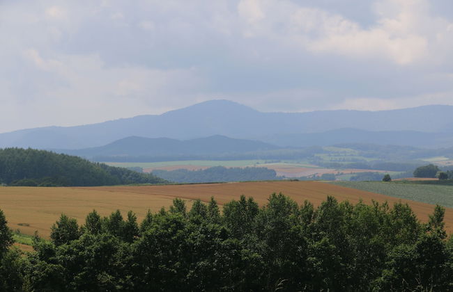 Cottage Ken&Mary - Foto 36