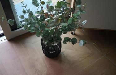 Dat Seehuus - Photo 14