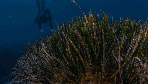 Esperienza di snorkeling a Tossa de Mar