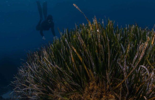 Snorkel en la playa de la Mar Menuda - Foto 5