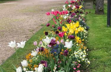 Ferienwohnung Unter Linden - Foto 13