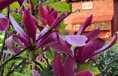 The Lodge at Fairfield Court - Foto 18